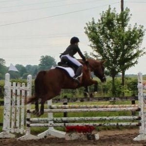 Meet your Posher, Hannah